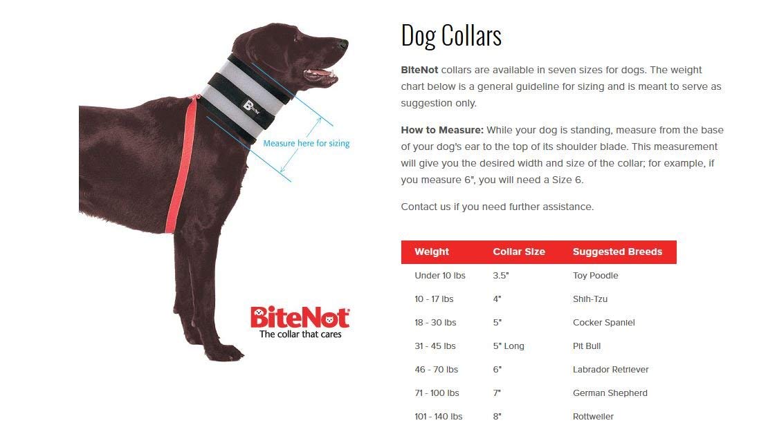 Collar I17704