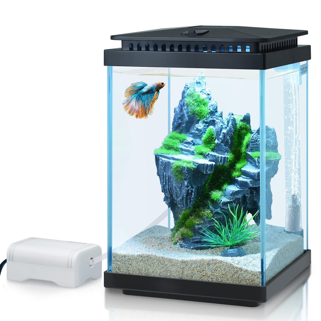 1 Gallon Small Glass Aquarium with Air Pump LED Light S510
