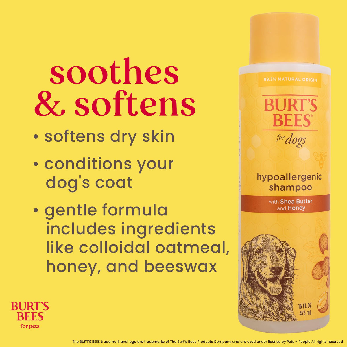 Hypoallergenic Dog Shampoo Shea Butter Honey 16 Fl Oz I91857