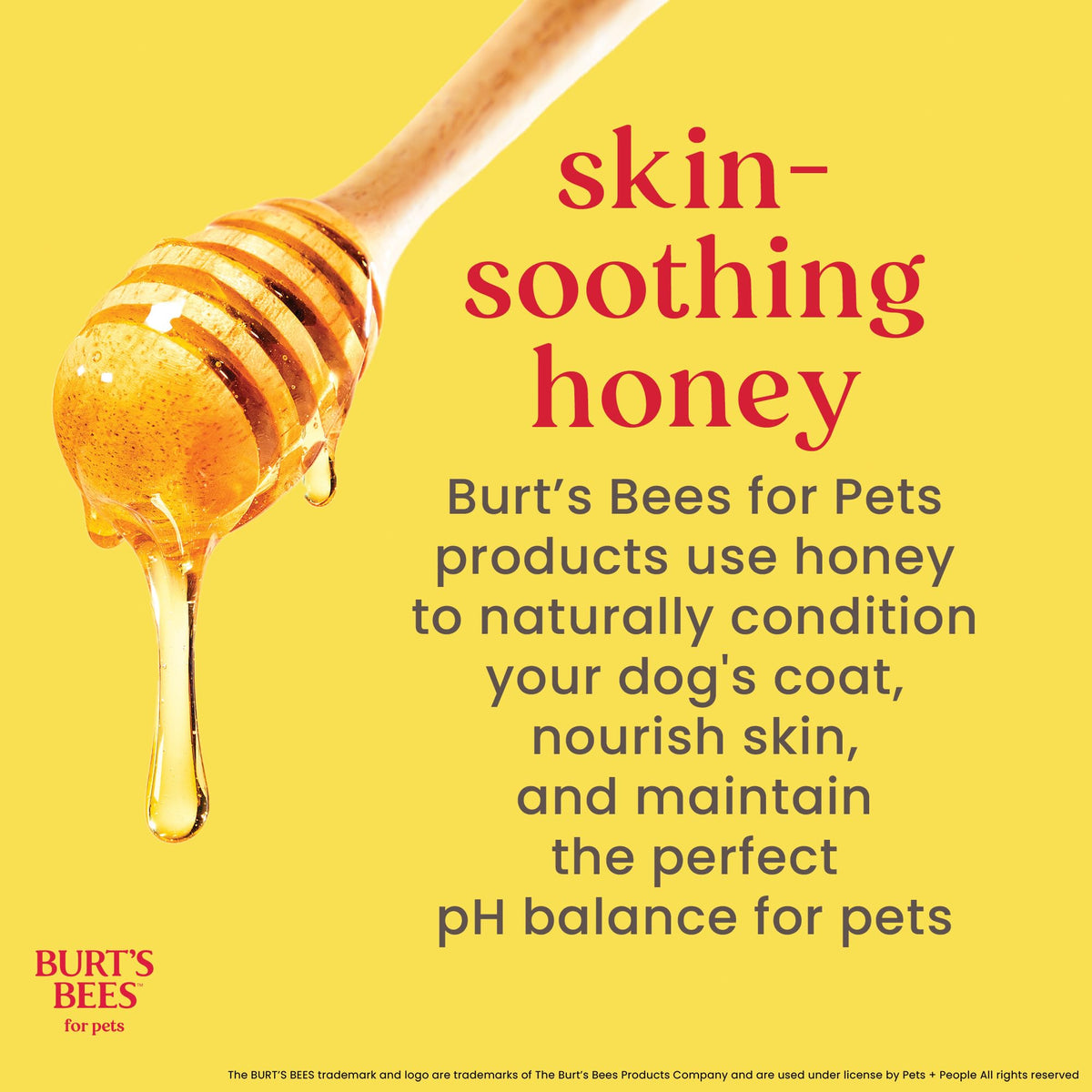 Hypoallergenic Dog Shampoo Shea Butter Honey 16 Fl Oz I91857