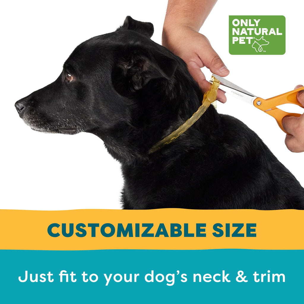 Flea & Tick Dog Collar One Size Fits All P46983