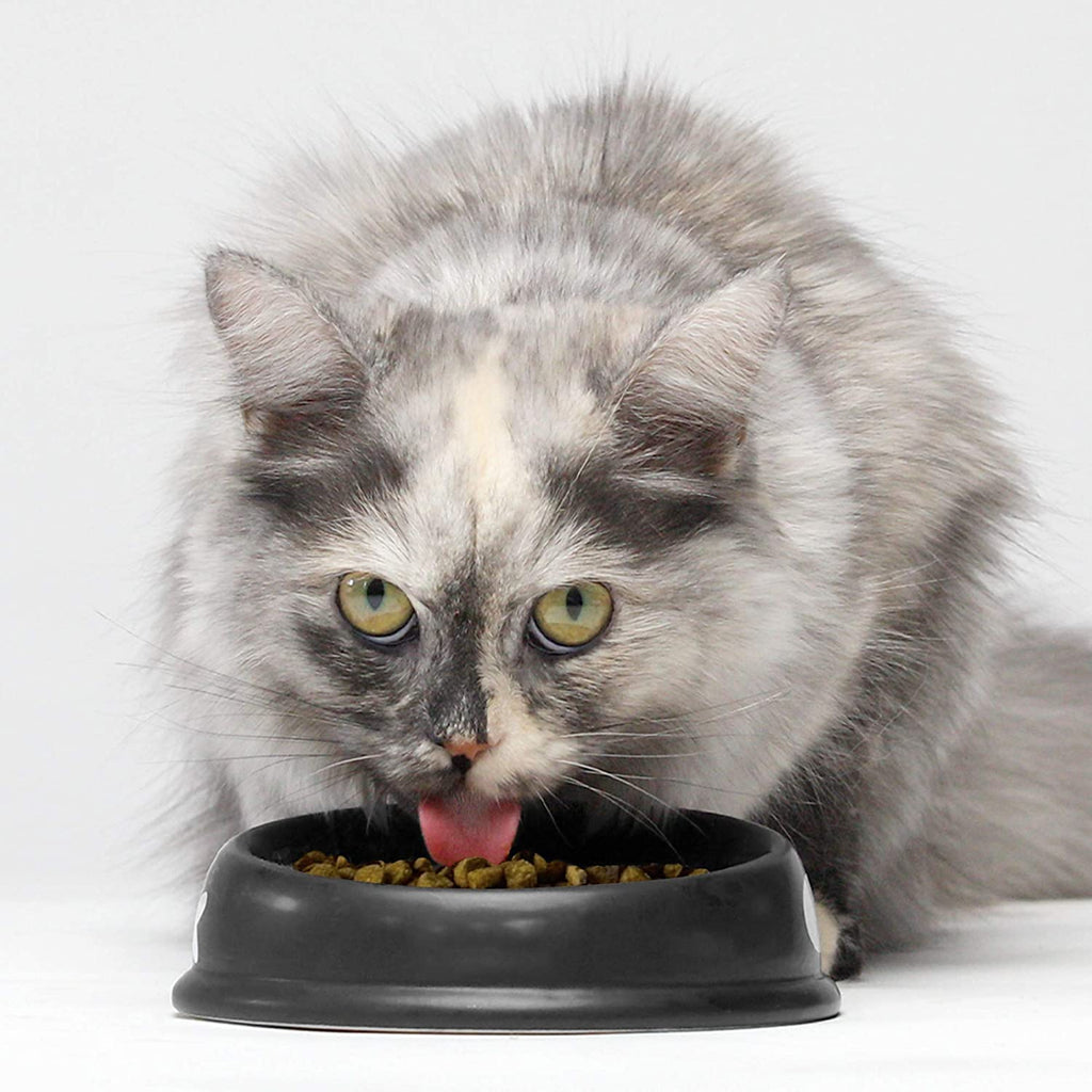 Grain-Free Dry Cat Food with Turkey & Chicken, 2 lbs F2477