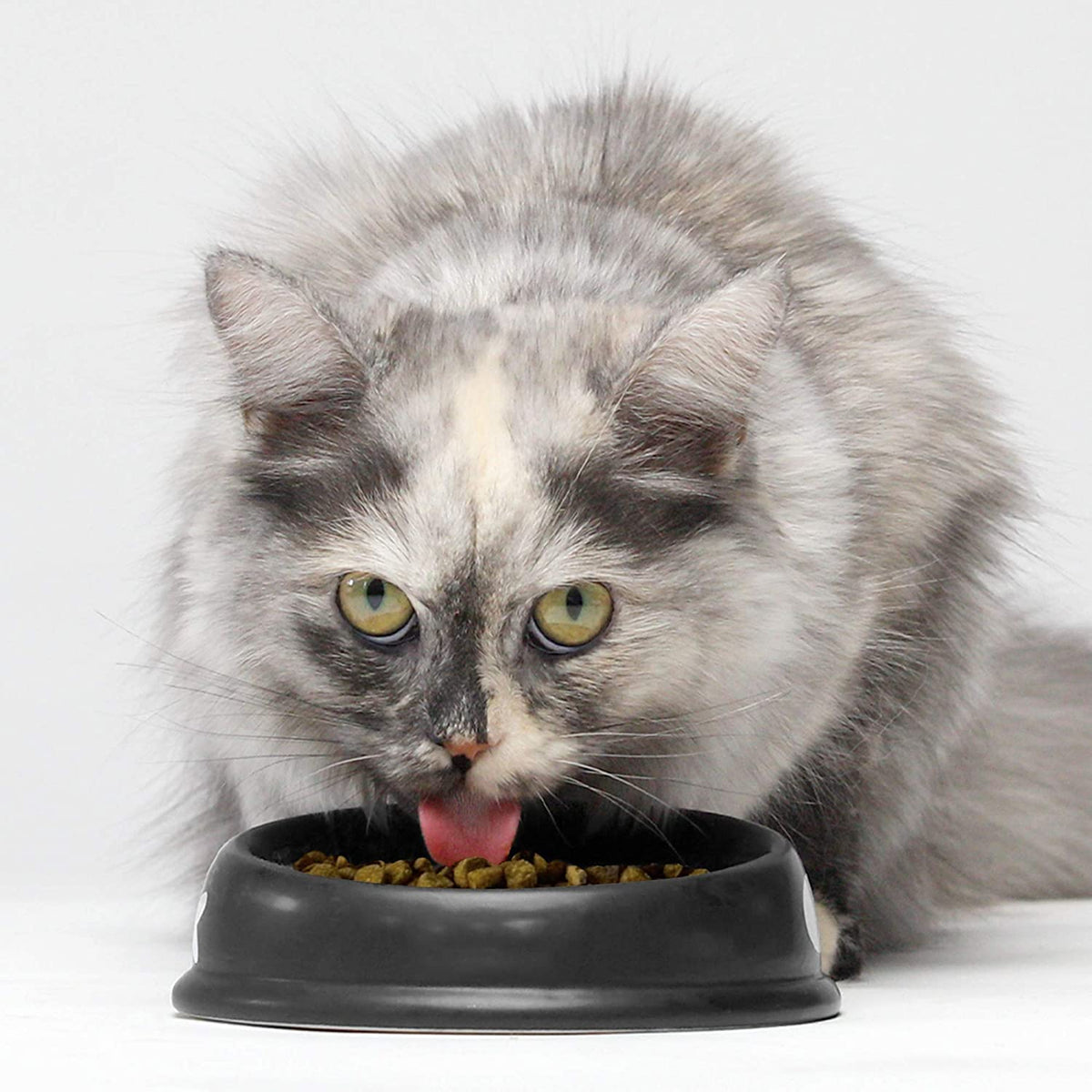 Grain-Free Dry Cat Food with Turkey & Chicken, 2 lbs F2477