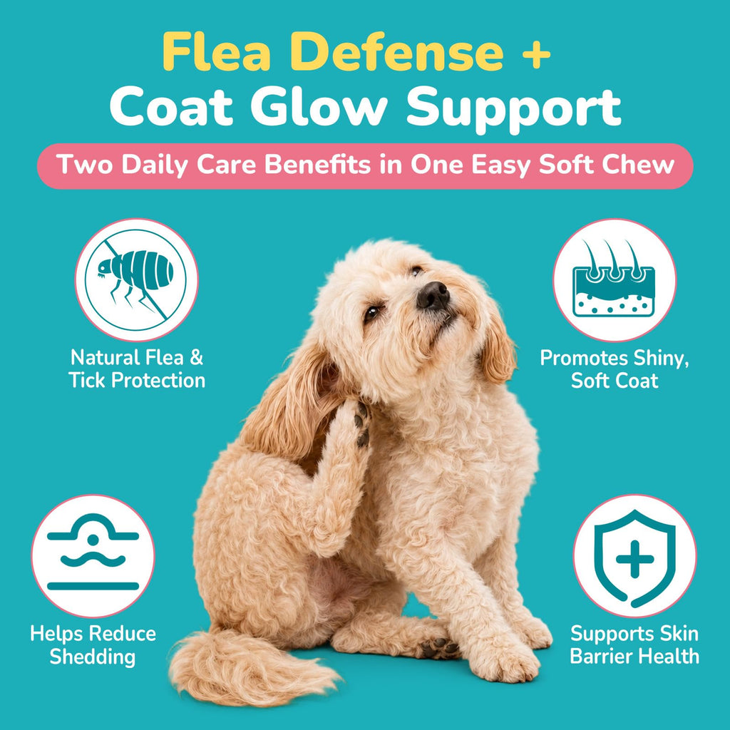 Soft Chews Chicken Flavor Flea and Tick Prevention for Dogs W460243