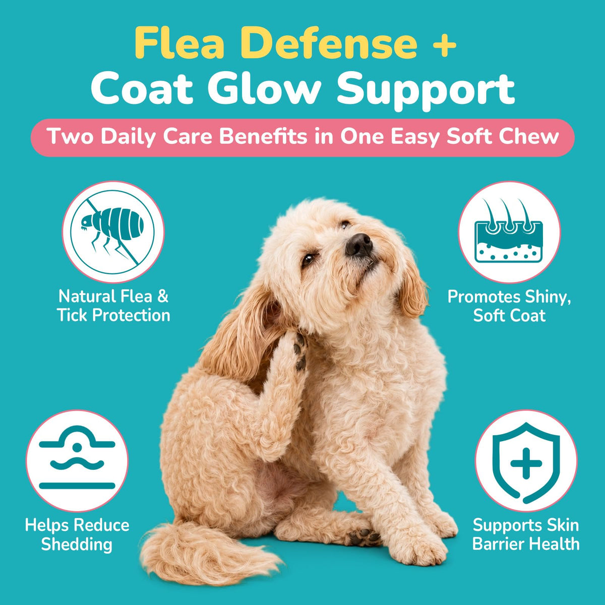Soft Chews Chicken Flavor Flea and Tick Prevention for Dogs W460243