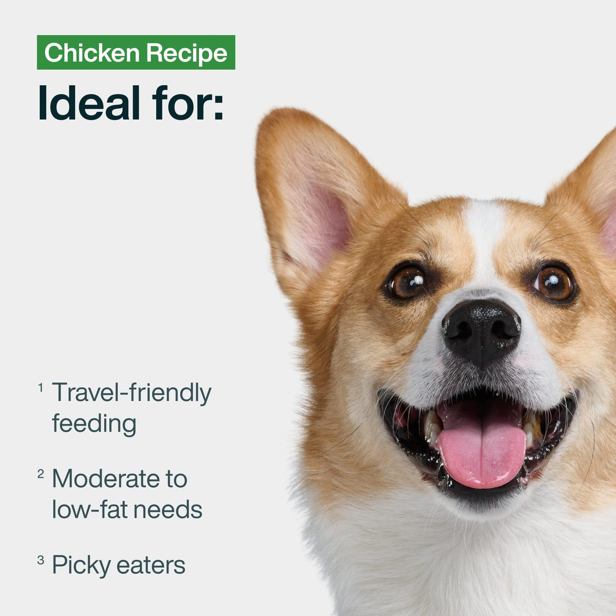 Chicken Wet Dog Food 7 Pack Q705194