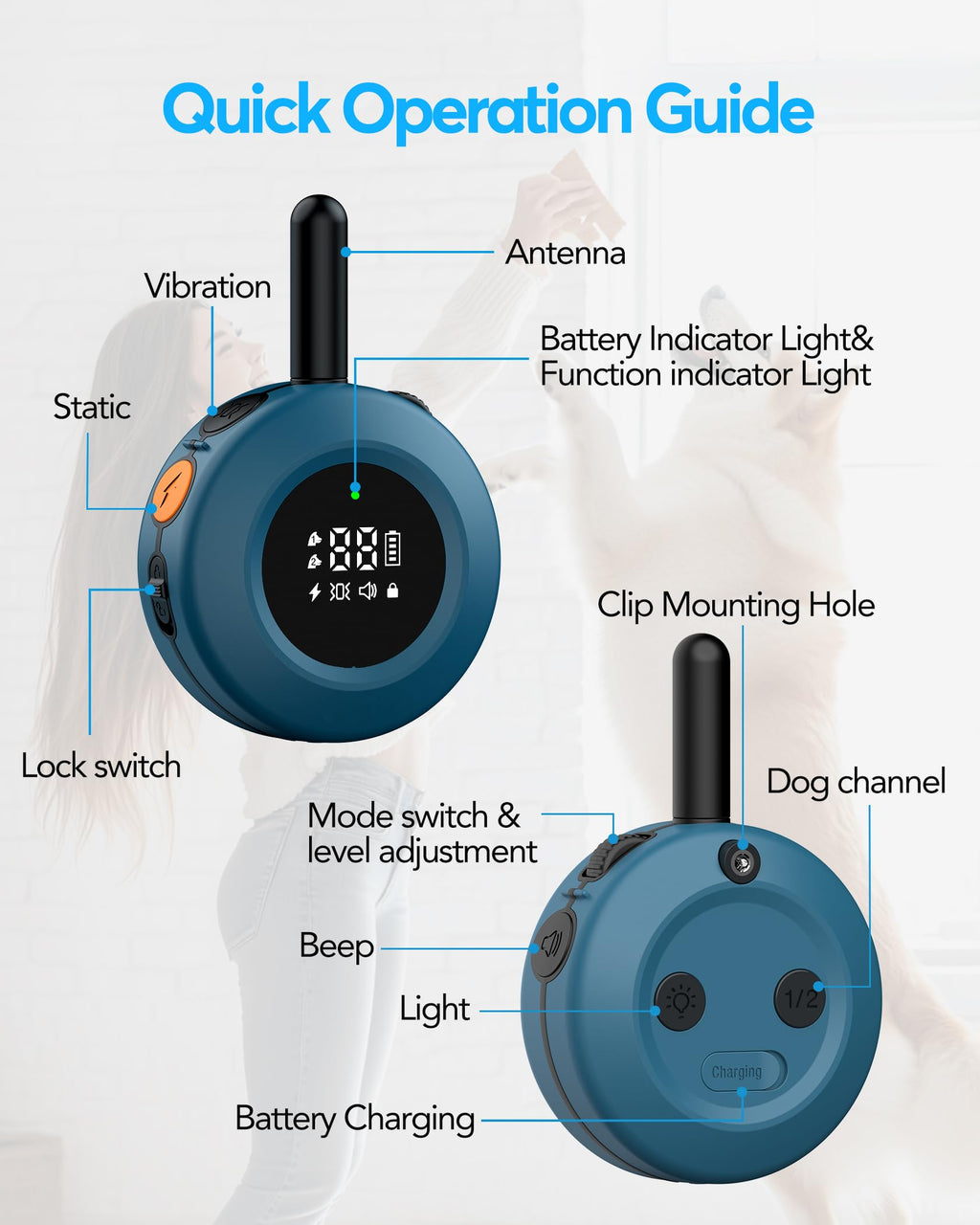 Dog Training Collar with Remote L372086