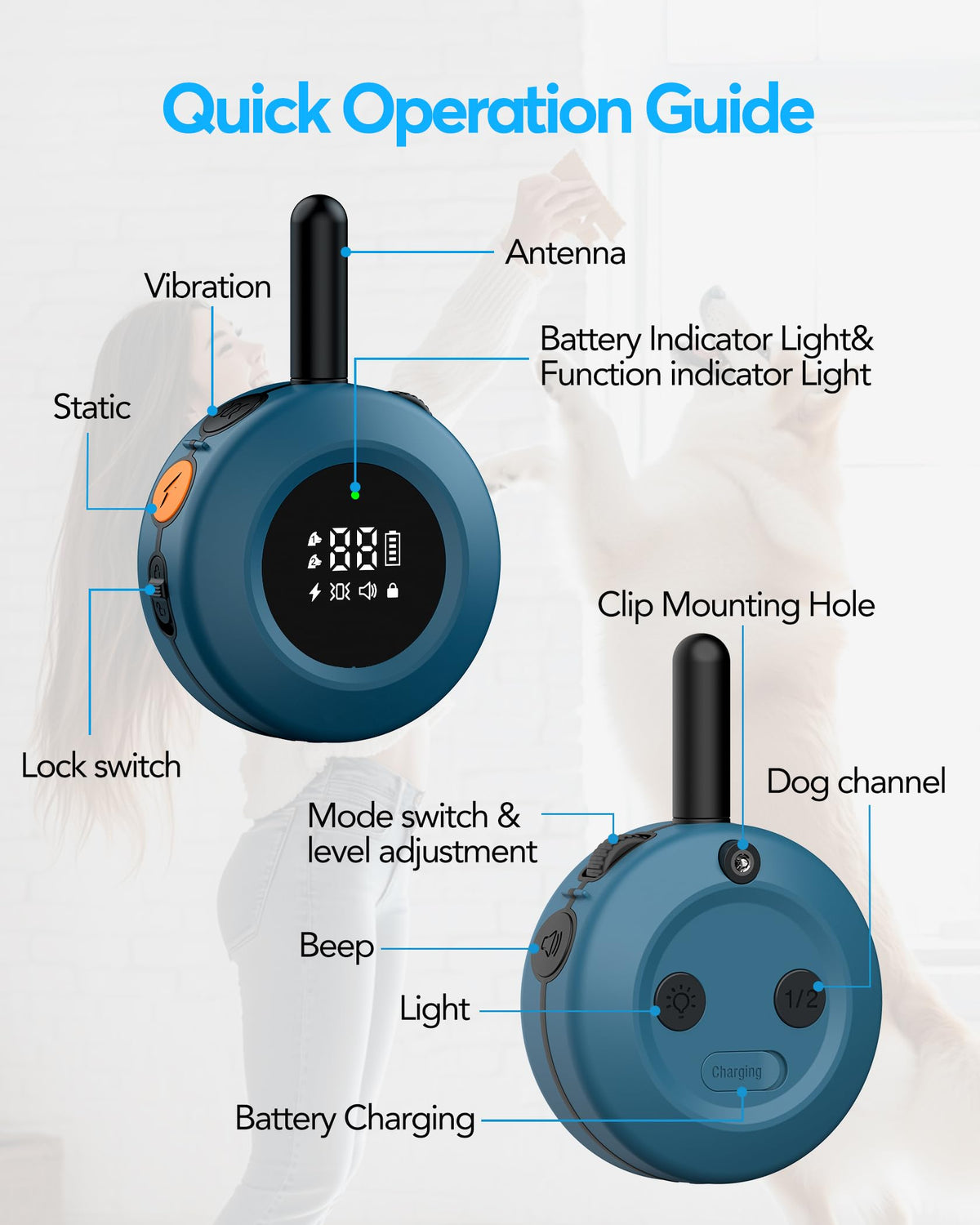Dog Training Collar with Remote L372086