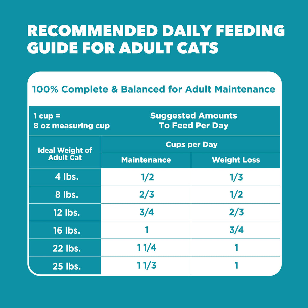 Indoor Dry Cat Food Chicken & Turkey 7 lb X45976