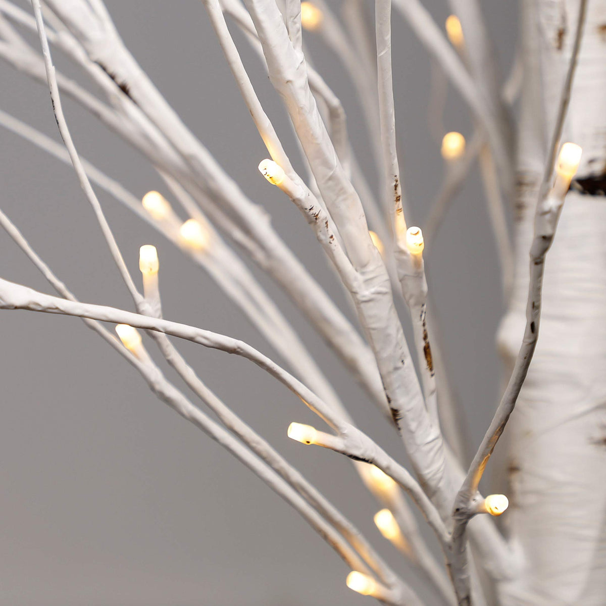 Lighted Birch Tree 6.1 Feet 96 LED V9585