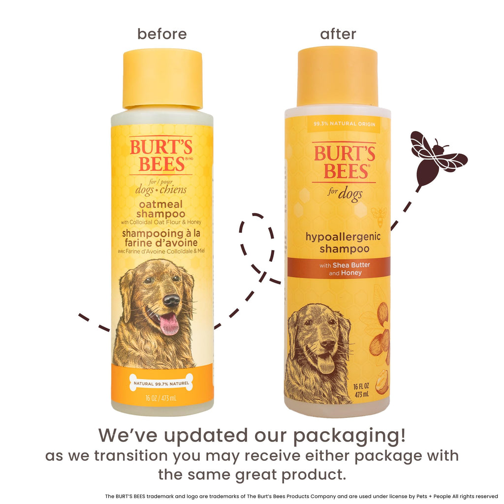 Hypoallergenic Dog Shampoo Shea Butter Honey 16 Fl Oz I91857