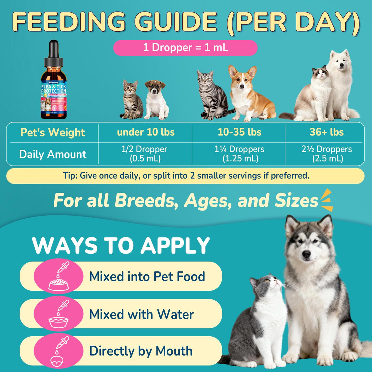 Flea and Tick Prevention for Dogs & Cats V2871