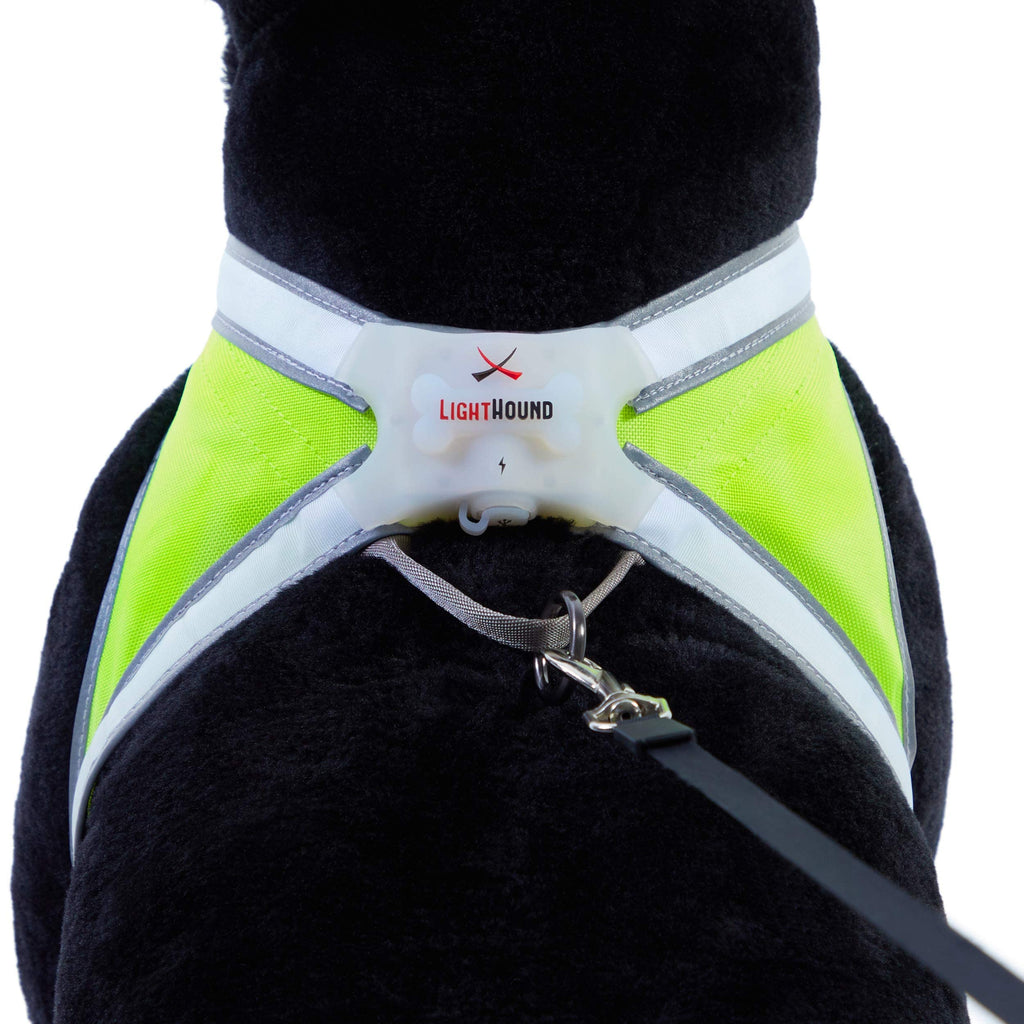 Reflective Light Up Dog Harness Large D5268