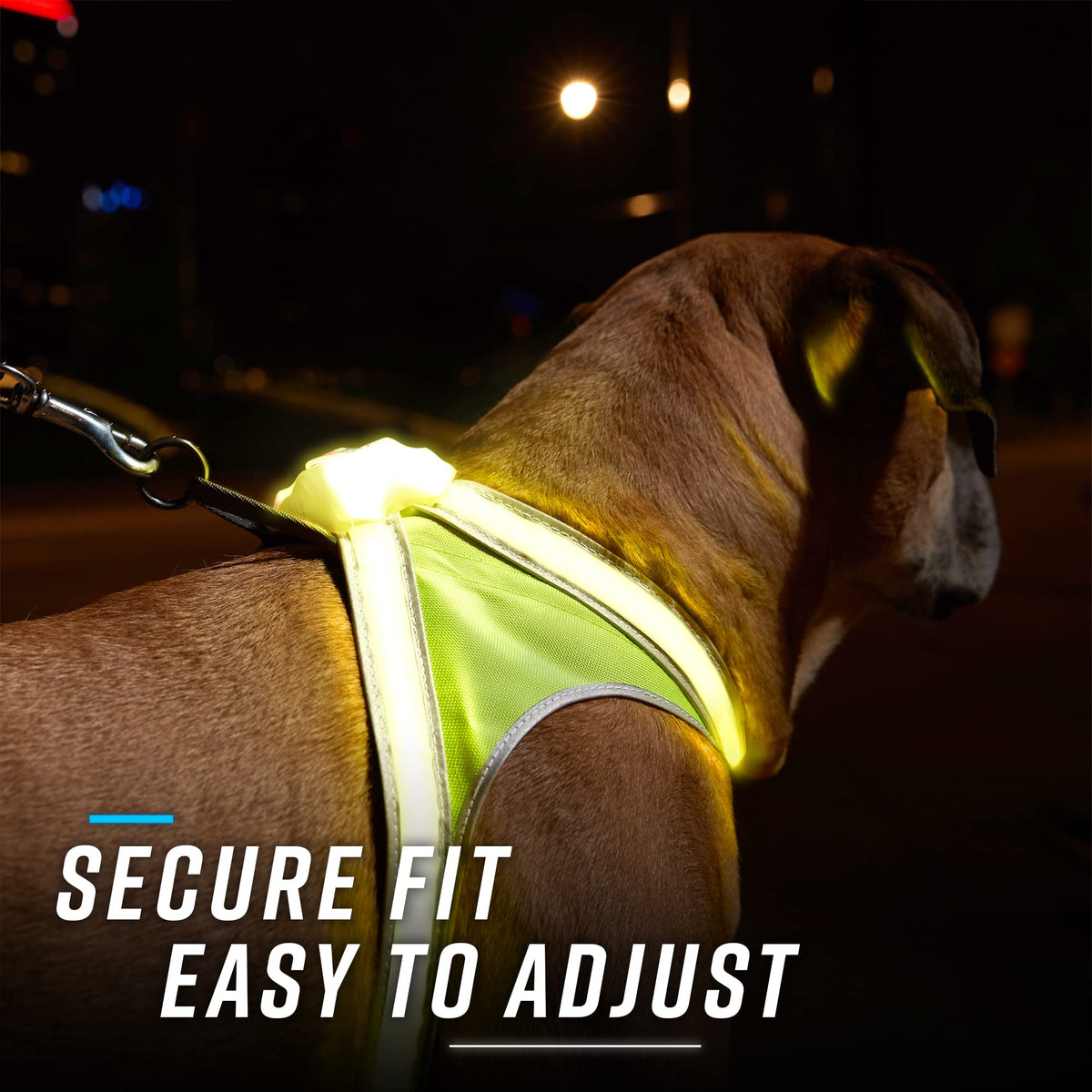 Reflective Light Up Dog Harness Large D5268