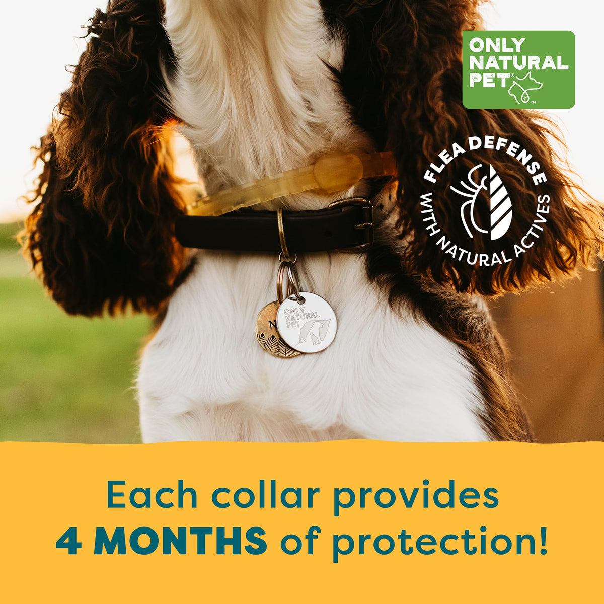 Flea & Tick Dog Collar One Size Fits All P46983
