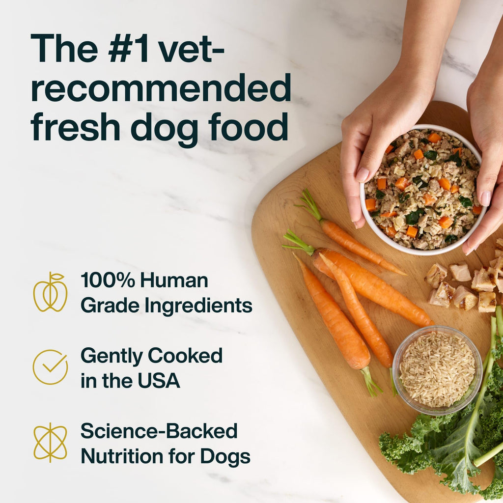 Chicken Wet Dog Food 7 Pack Q705194