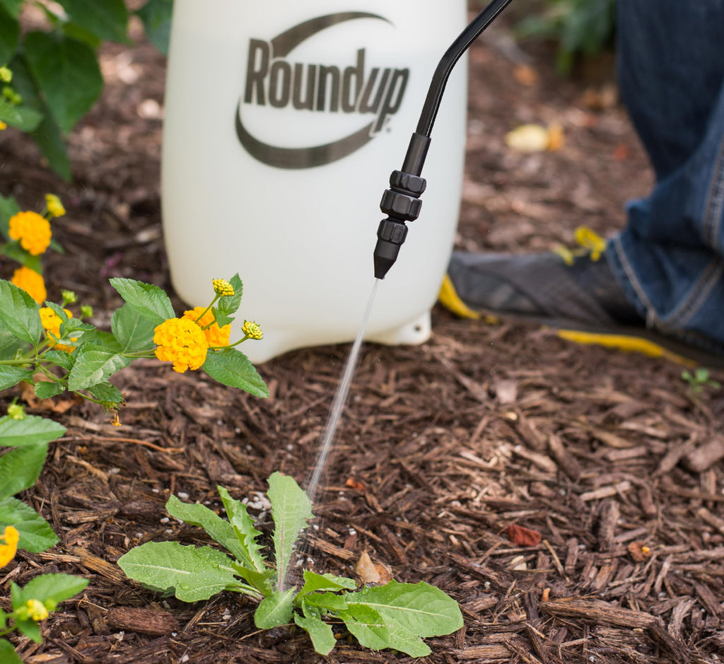 2-Gallon Lawn and Garden Sprayer R579890