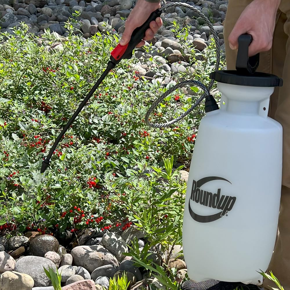 2-Gallon Lawn and Garden Sprayer R579890