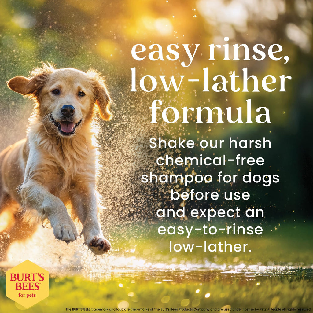 Hypoallergenic Dog Shampoo Shea Butter Honey 16 Fl Oz I91857
