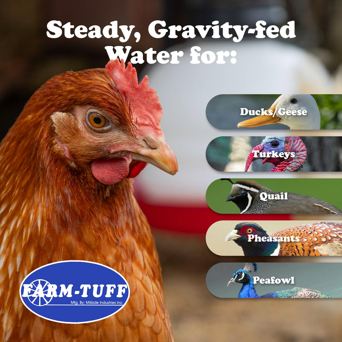 3 Gallon BPA-Free Plastic Hanging Chicken Waterer O5280