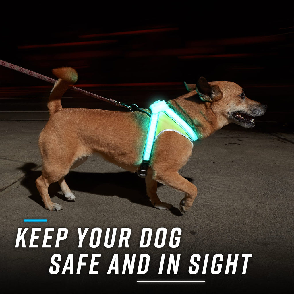 Reflective Light Up Dog Harness Large D5268