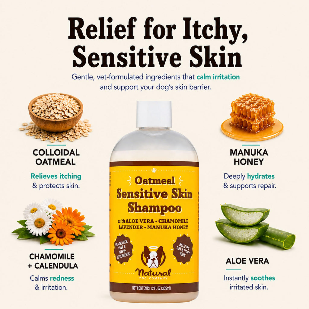 Sensitive Skin Dog Shampoo 12 oz R36311