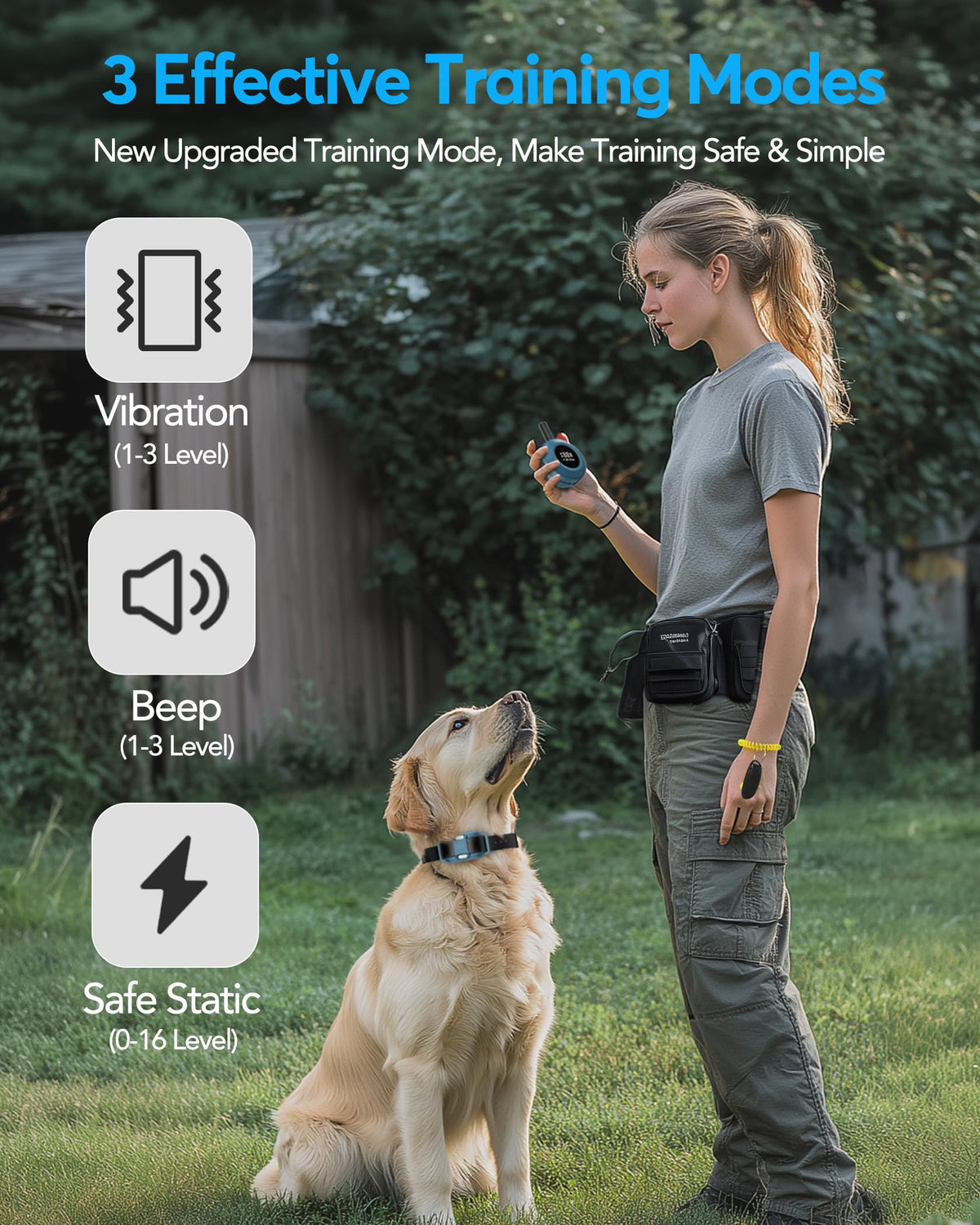 Dog Training Collar with Remote L372086
