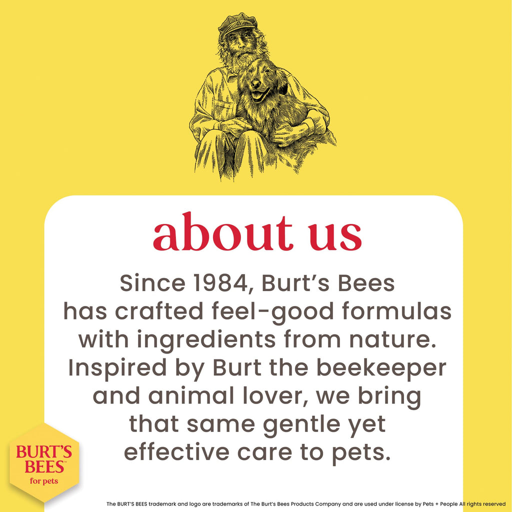 Hypoallergenic Dog Shampoo Shea Butter Honey 16 Fl Oz I91857