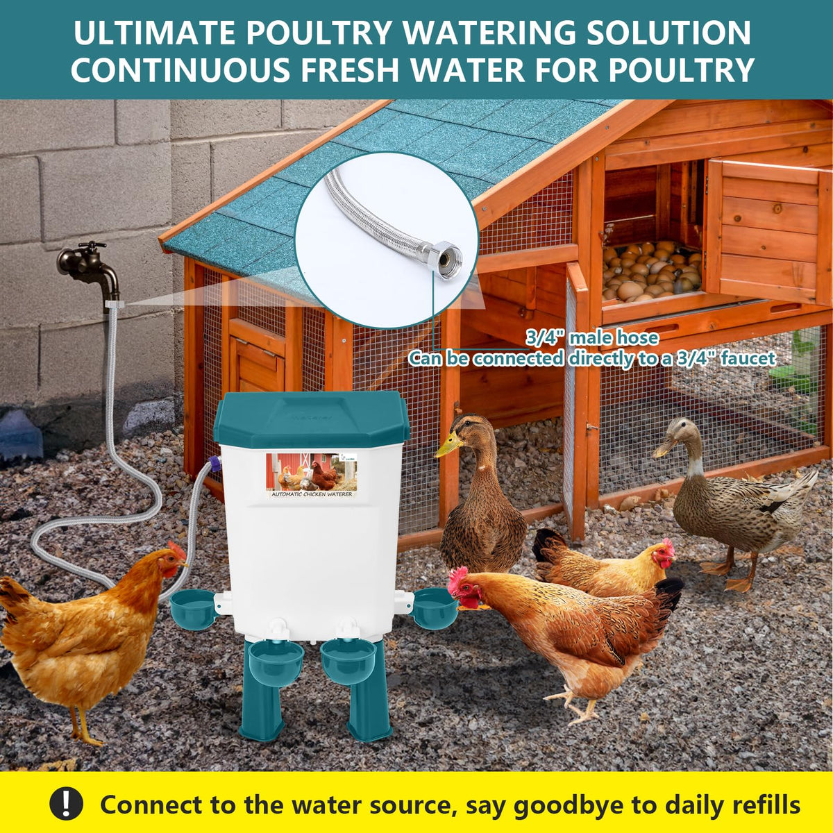 Automatic Chicken Waterer G612