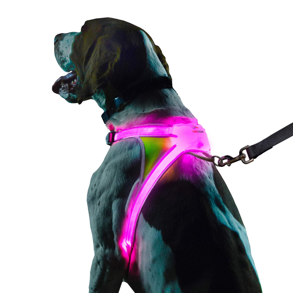 Reflective Light Up Dog Harness Large D5268