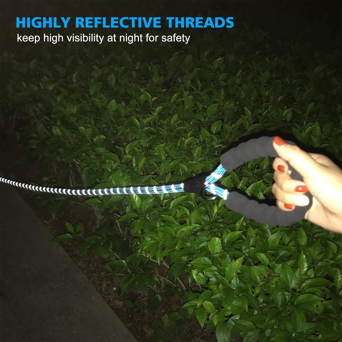 Reflective Padded Dog Collar with Neoprene, Medium, Turquoise A594499