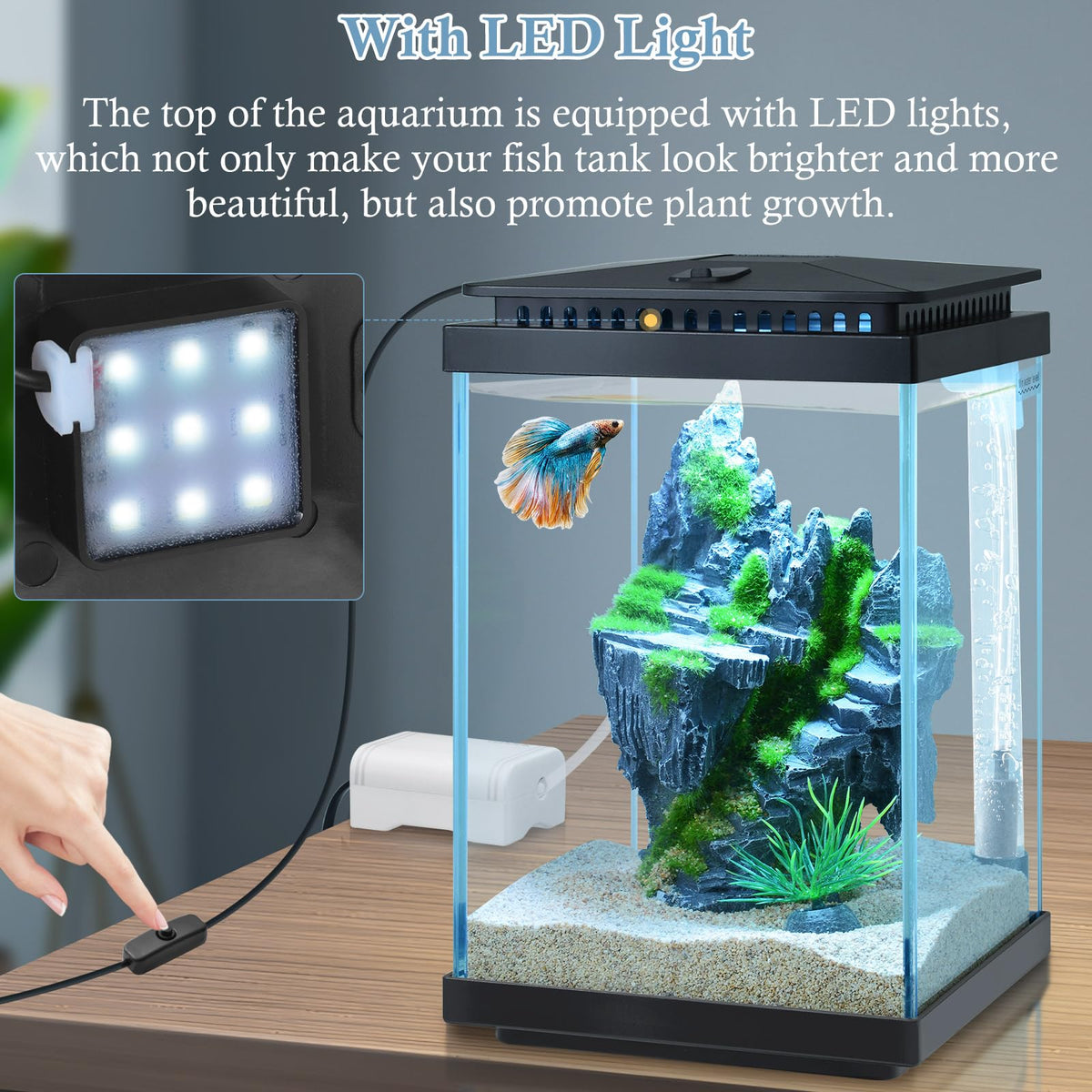 1 Gallon Small Glass Aquarium with Air Pump LED Light S510