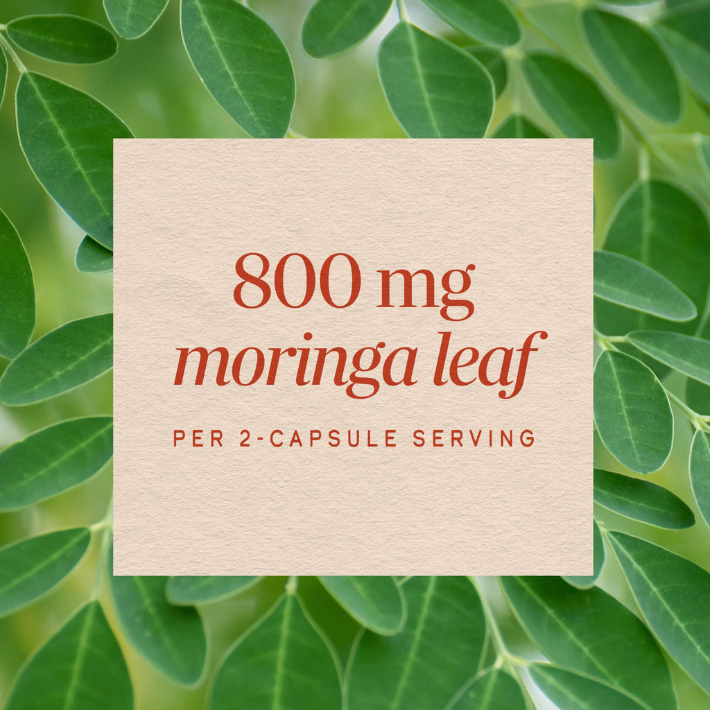 Moringa Leaf 800 mg 120 ct X955906