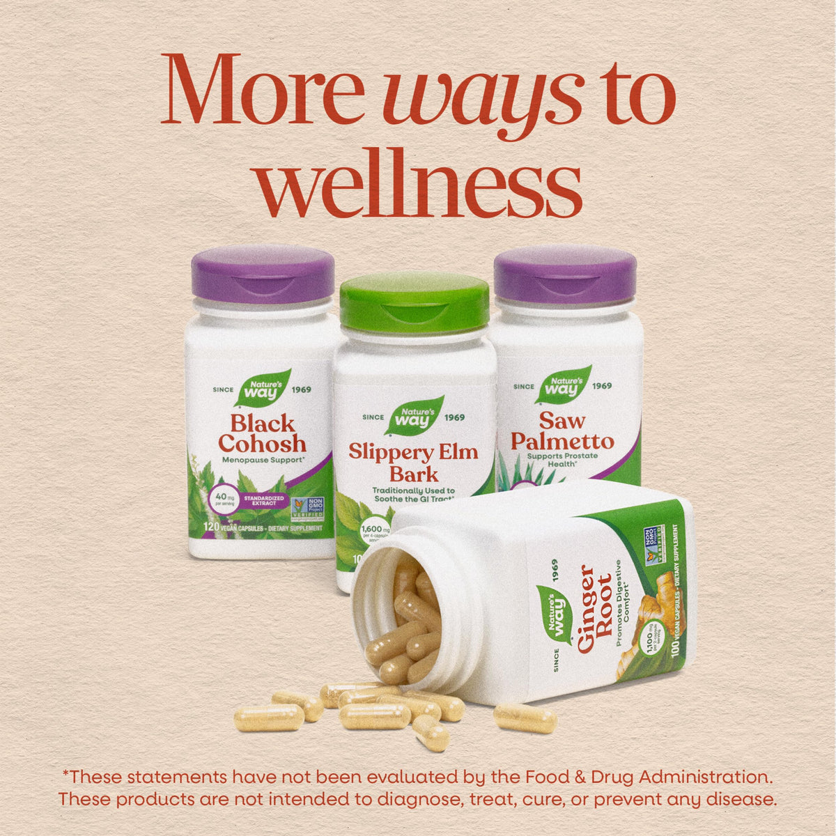 Moringa Leaf 800 mg 120 ct X955906
