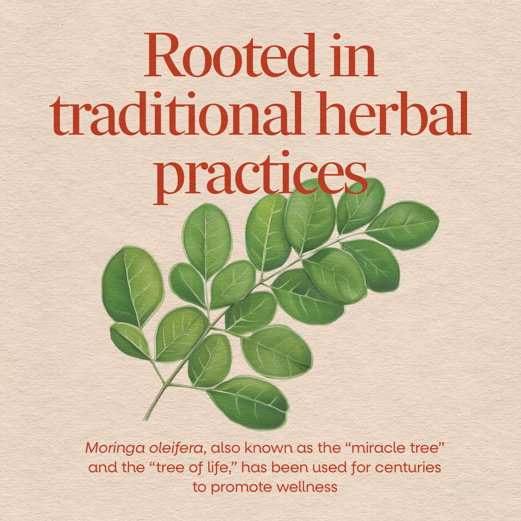 Moringa Leaf 800 mg 120 ct X955906